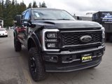 New 2025 Ford F250 XL image 4