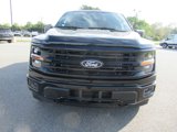 New 2025 Ford F150 XLT image 2