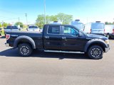 Used 2013 Ford F150 XLT w/ Luxury Equipment Group image 6