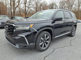 New 2025 Honda Pilot Elite image 3