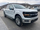 New 2025 Ford F150 XLT w/ Equipment Group 302A MID image 3