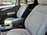 Used 2020 Ford Escape SE image 5