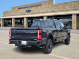 New 2025 Ford F250 Platinum w/ FX4 Off-Road Package image 5