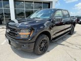 New 2025 Ford F150 XLT image 3