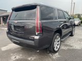 Used 2016 Cadillac Escalade Luxury image 5
