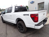 New 2025 Ford F150 XLT image 3