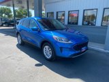 Used 2020 Ford Escape SE image 2