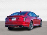 New 2025 Cadillac CT5 Sport w/ Platinum Package image 5