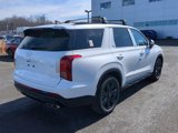New 2025 Hyundai Palisade XRT image 3