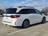 New 2025 Honda Odyssey Elite image 6