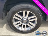 Used 2024 Toyota 4Runner TRD Sport image 5