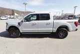 New 2025 Ford F150 Tremor image 4