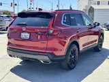 Used 2024 Honda CR-V Sport image 6