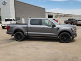 New 2025 Ford F150 Platinum w/ Equipment Group 702A High image 5