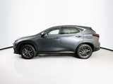 Used 2025 Lexus NX 250 FWD w/ Cold Area Package image 4
