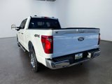 New 2025 Ford F150 XLT image 3