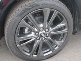 Used 2025 Cadillac Optiq Sport 2 image 3