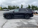 New 2025 Hyundai Palisade Calligraphy image 4
