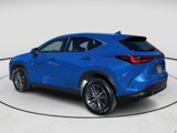 Used 2023 Lexus NX 350 AWD w/ Premium Package image 3