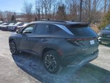 New 2025 Hyundai Tucson Limited image 5