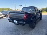 New 2025 Ford F150 Raptor w/ Equipment Group 803A Raptor R image 6