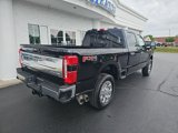 New 2025 Ford F250 4x4 Crew Cab Super Duty image 4