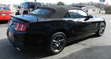Used 2010 Ford Mustang Shelby GT500 image 6