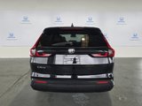 New 2025 Honda CR-V EX-L image 5