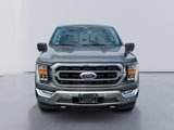 Used 2021 Ford F150 XLT w/ Equipment Group 302A High image 2