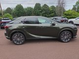 New 2025 Lexus RX 350 image 2