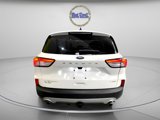 Used 2021 Ford Escape Titanium w/ Titanium Elite Package image 6