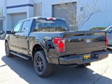 New 2025 Ford F150 STX w/ STX Black Appearance Package image 4