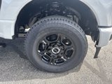 New 2025 Ford F250 4x4 Crew Cab Super Duty image 3