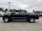 Certified 2022 Ford F150 XLT w/ Equipment Group 301A Mid image 6