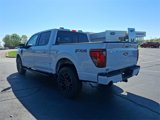 New 2025 Ford F150 XLT image 5