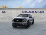 New 2025 Ford F150 XLT image 2
