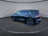New 2025 Hyundai Palisade Calligraphy image 6