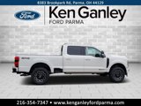 New 2025 Ford F250 Platinum w/ Snow Plow Prep Package image 4