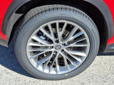 New 2025 Lexus NX 350 AWD w/ Premium Package image 5