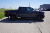New 2025 Ford F150 XLT w/ Equipment Group 302A MID image 4
