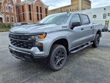 New 2025 Chevrolet Silverado 1500 Custom Trail Boss w/ Turbomax Blackout Package image 2