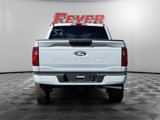 New 2025 Ford F150 STX w/ Equipment Group 200A image 4