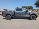 New 2025 Ford F250 Platinum image 4