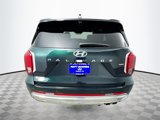 New 2025 Hyundai Palisade Calligraphy image 6