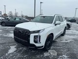 New 2025 Hyundai Palisade Calligraphy image 3