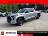 New 2025 Toyota Tundra SR5 image 1