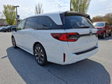 New 2025 Honda Odyssey Elite image 3