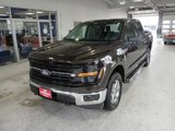 Certified 2024 Ford F150 XLT w/ Mobile Office Package image 4
