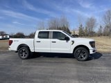 New 2025 Ford F150 STX w/ Equipment Group 200A image 4