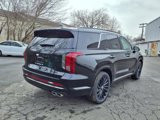 New 2025 Hyundai Palisade Calligraphy image 5